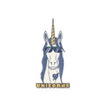 New Braunfels Unicorns